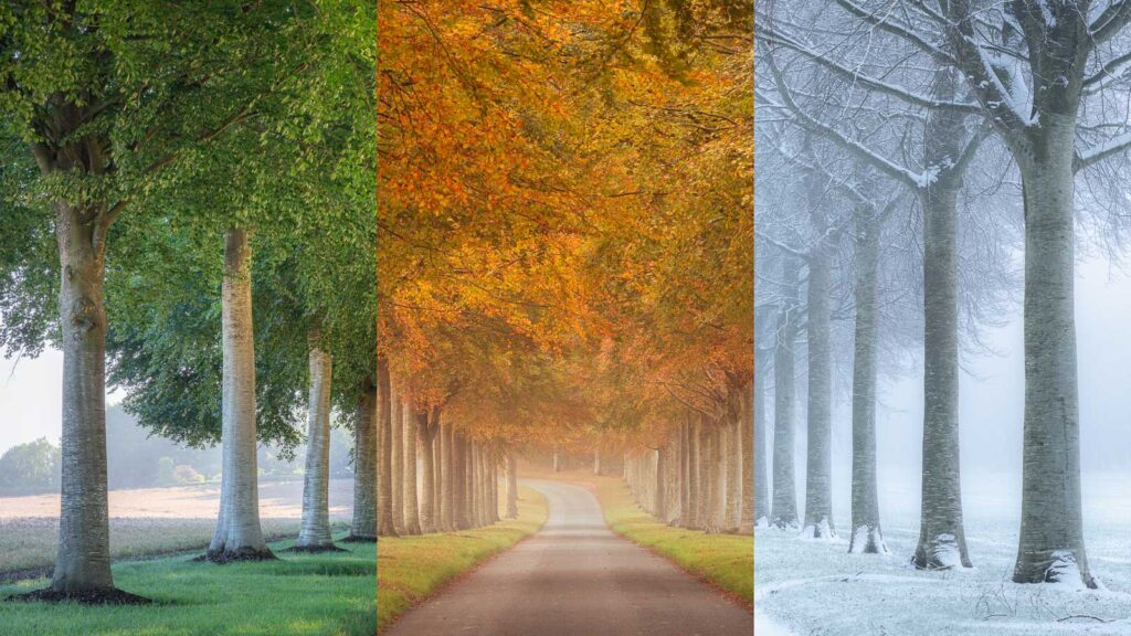 あなたの「見たい」を、最高の「感動体験」に。画像
