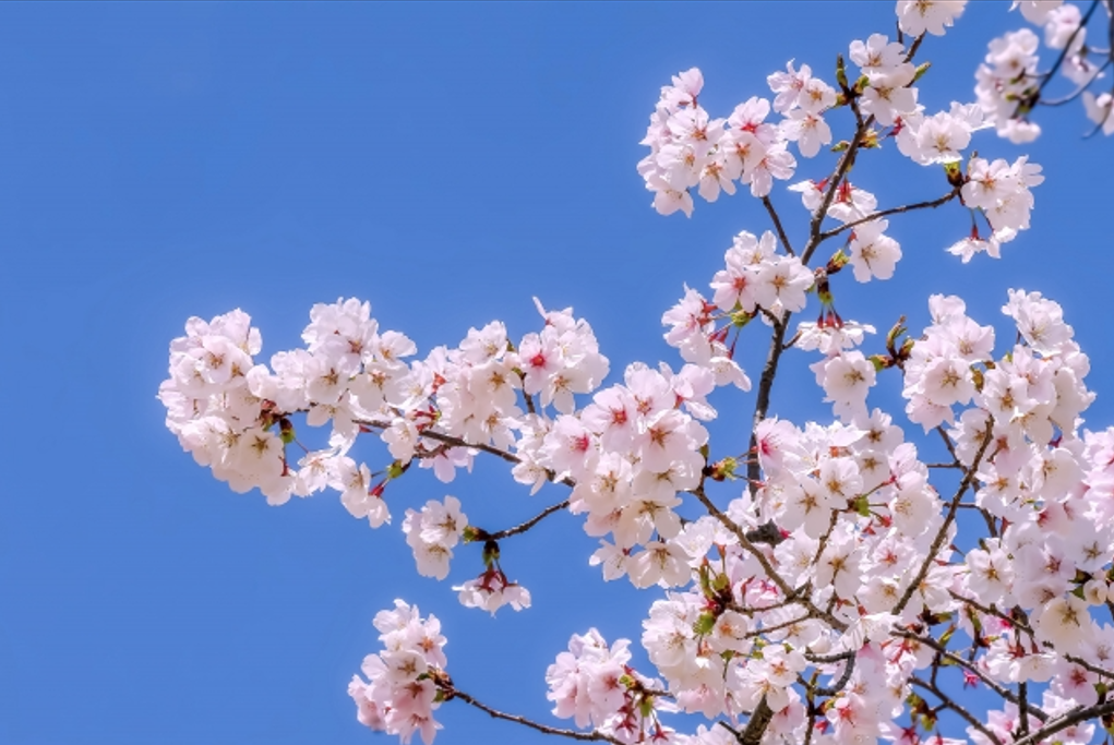 原題に込められた本当の意味とは?