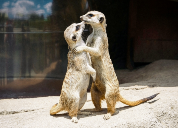 より情熱的になった凌不疑とのキスシーン