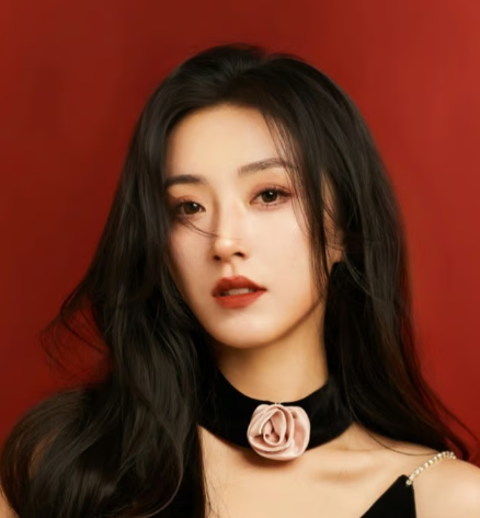 趙佳の作品は日本で見れる？