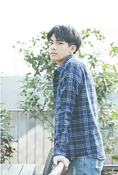 芸能界入りのきっかけは少林寺の武術