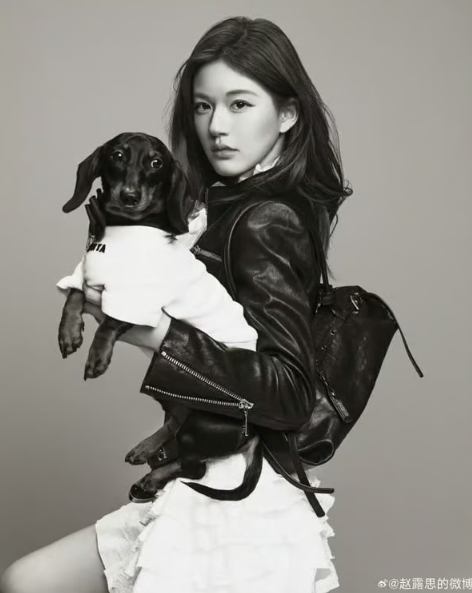 愛犬DoeとDian Dian！動物に囲まれた生活