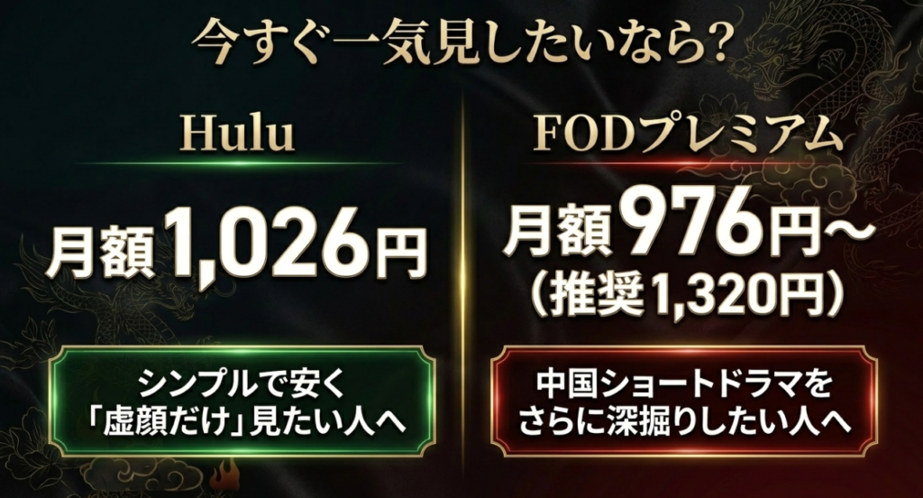 迷ったらどっち?
あなたにおすすめの視聴方法はこれ!